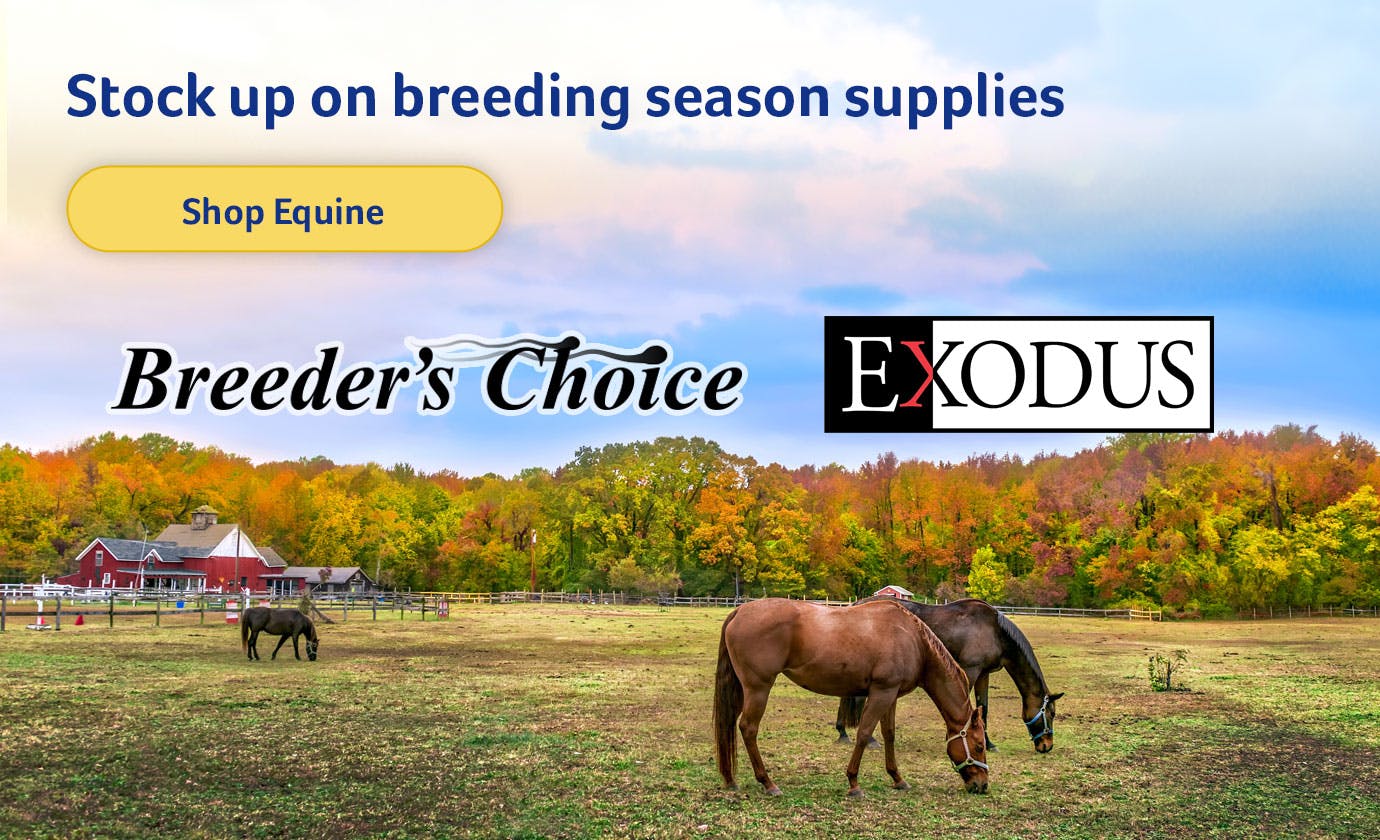 Stock up on breeding season supplies