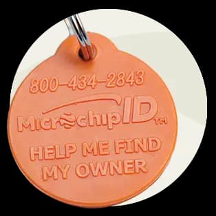 Orange microchip dog tag that says help me find my owner