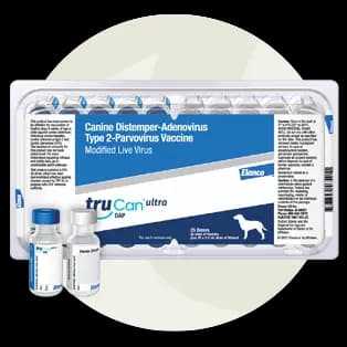 Clear package with a white and blue label for the Canine Distemper-Adenovrius Type 2-Parvovirus Vaccine from TruCan with two vials in front of it