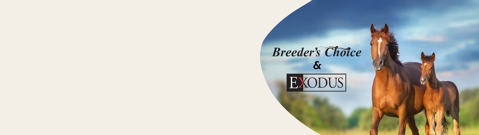 Revival Animal Health Pet Supplies, Medications & Pharmacy