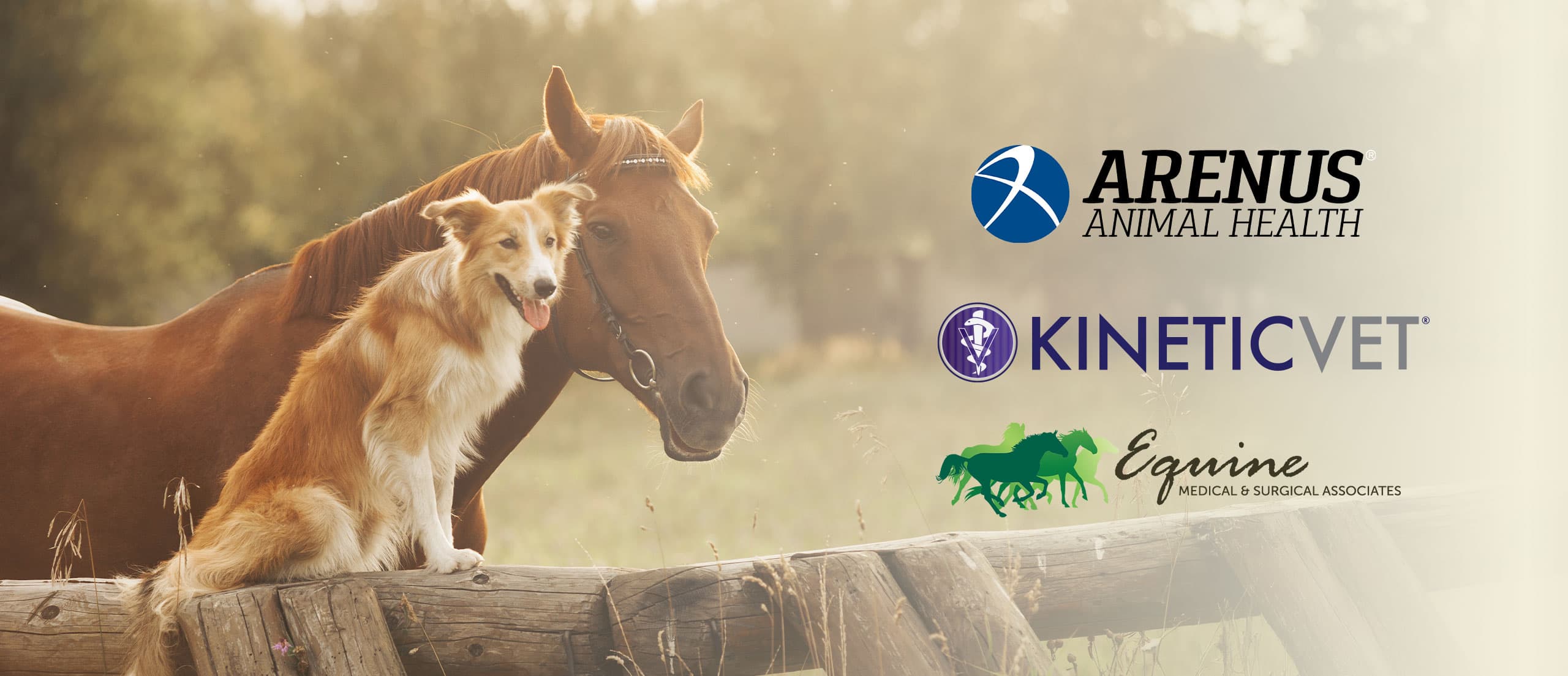 Dog and Horse