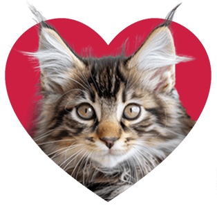cat icon
