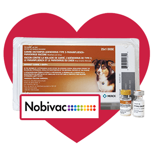 vaccine icon