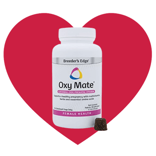 vitamins and supplements