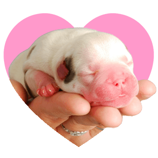 Newborn Care