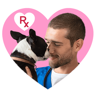 Pet Pharmacy