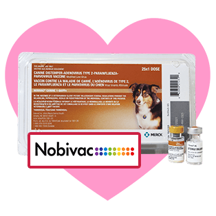 Vaccines for Dogs, Cat and Equine