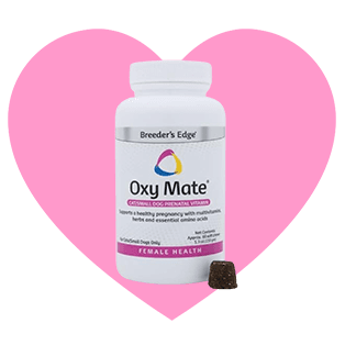 vitamins and supplements