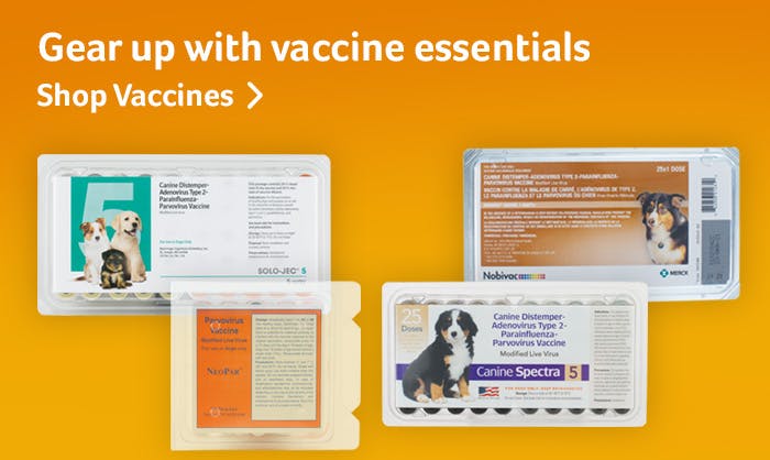 Gear up with vaccine essentials