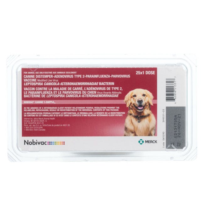 Nobivac Canine 1-DAPPvL2 7-in-1 Dog Vaccine