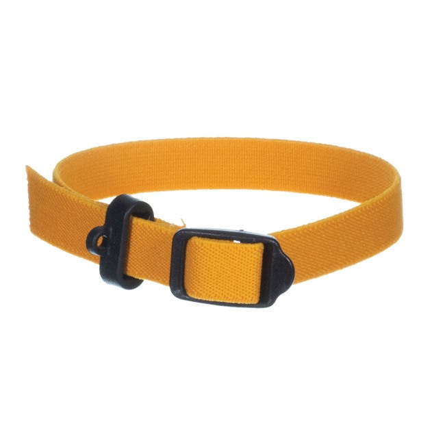 Breeder's Edge® ID Me™ Perfect Training Orange Collar