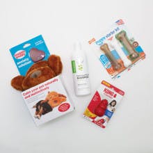 Puppy Comfort Kit with Snuggle Puppy, Puppy Starter Kit Nylabone®, Kong® Classic and Vet Basics®Oatmeal Protein Shampoo