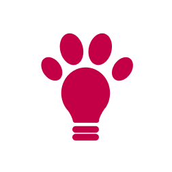 Pink light bulb with a paw print above it