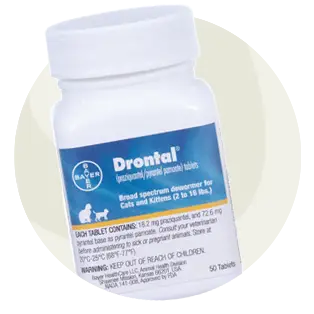 White bottle with a blue, white and yellow label for Drontal