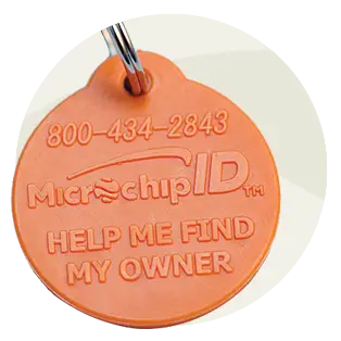 Orange microchip dog tag that says help me find my owner