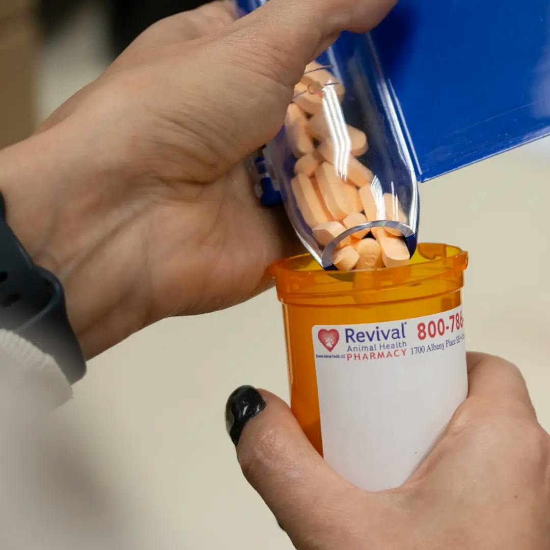 Hands pouring pills into a Revival Animal Hospital Pharmacy orange pill bottle with a white label