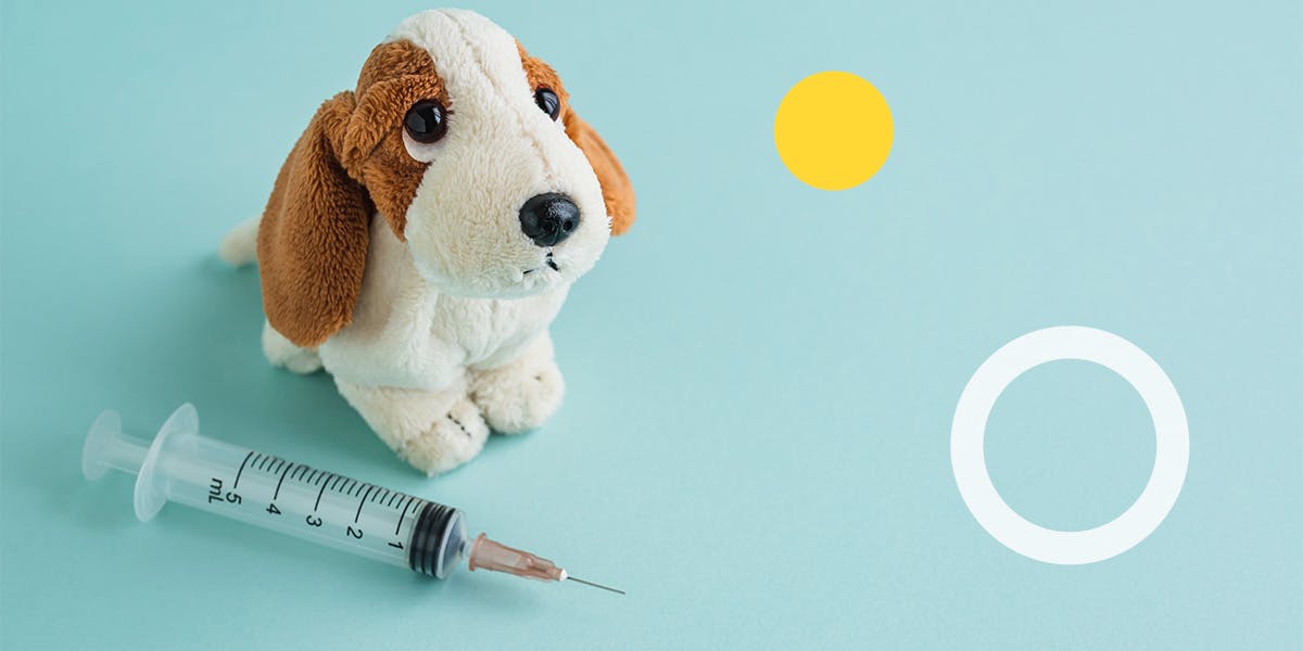 The Importance of 5 Way Vaccines for Dogs