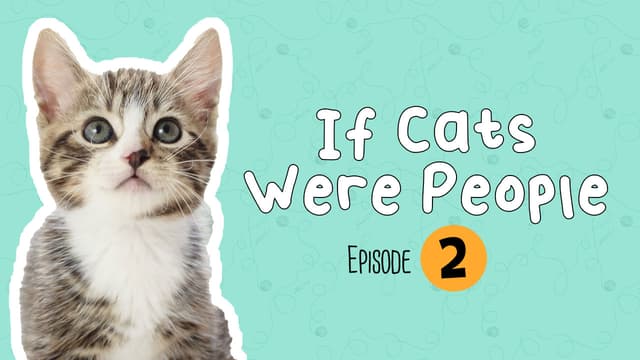 If Cats Were People: Part 2 | Revival Animal Health